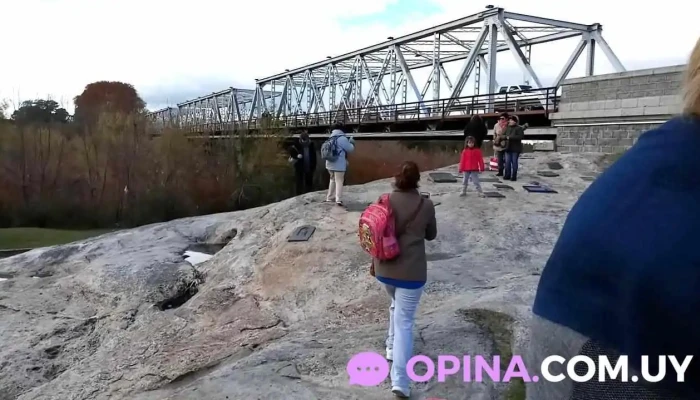 Piedra Alta -  Videos - Florida