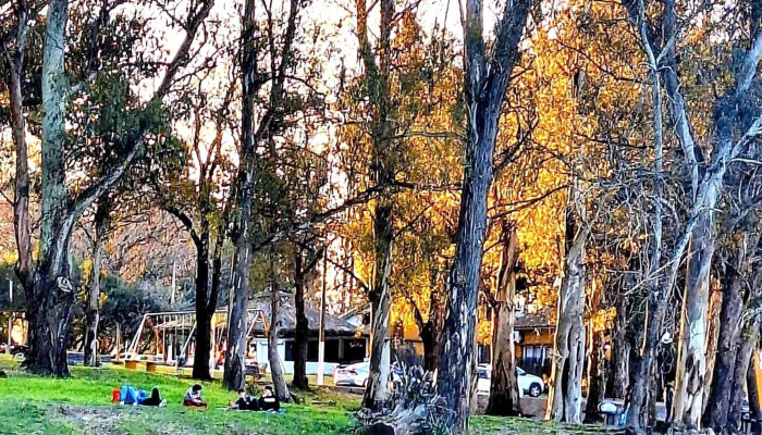 Piedra Alta -  Zona - Florida