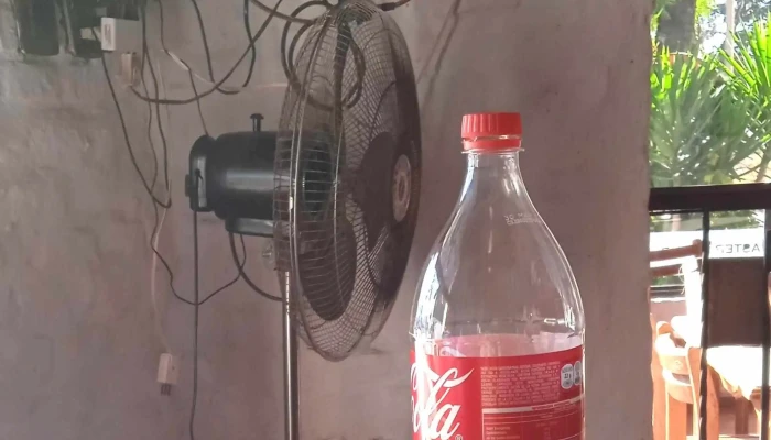 Pipiolos Bar Comentario 8 - Montevideo