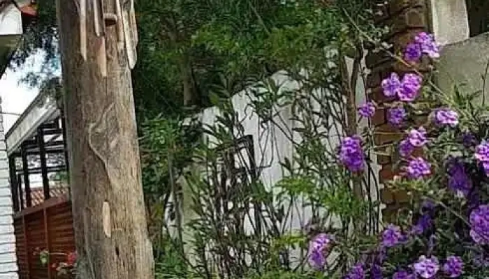 Piriapolis Horacio -  Videos - Piriápolis