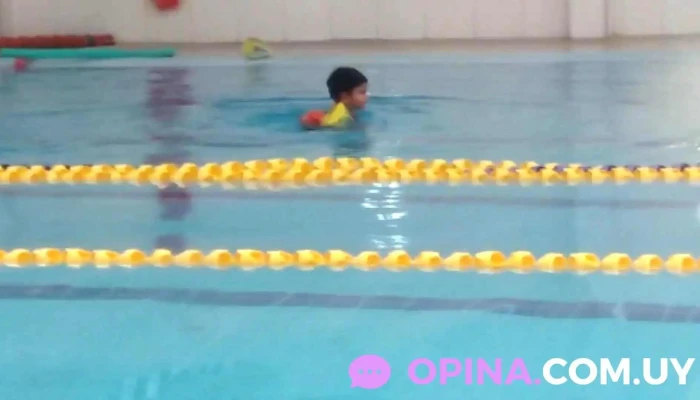 Piscina Climatizada Club Fraternidad E Intendencia Municipal De San Jose Videos - San Jos&eacute; de Mayo