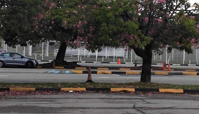 Pista Examen Practico Im Abierto Ahora - Montevideo