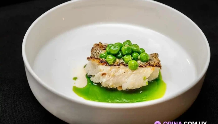 Pistatxofusion Comida Y Bebida - Montevideo