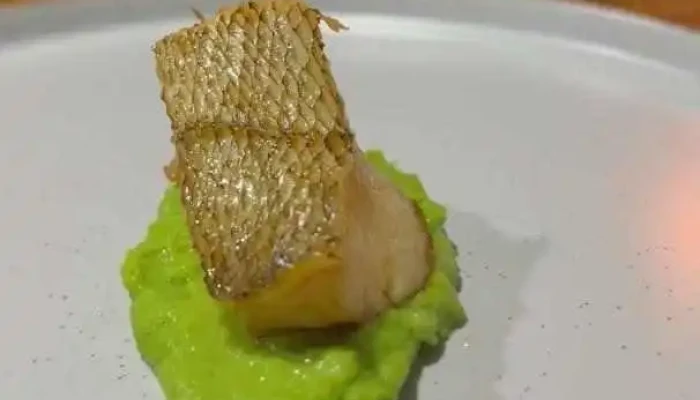 Pistatxofusion Videos - Montevideo