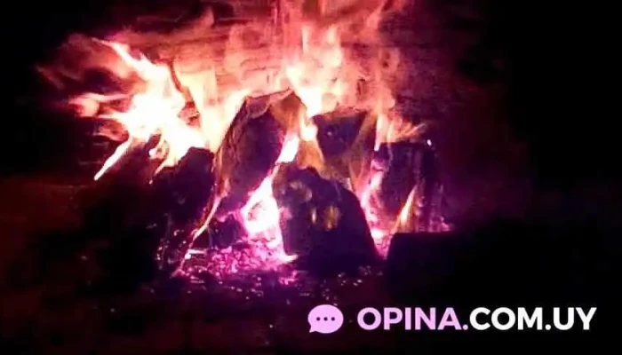 Pizza Juan -  Videos - Ciudad de la Costa