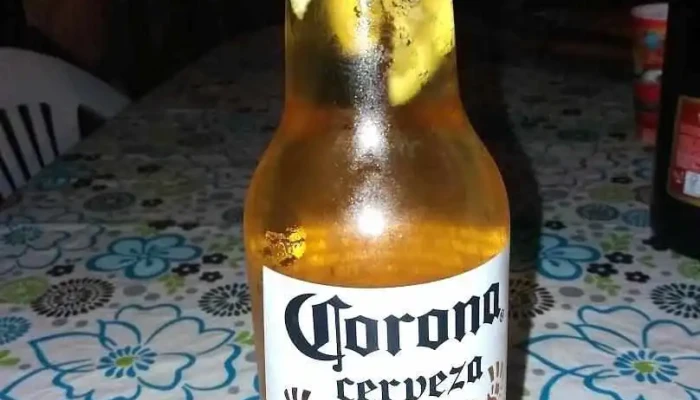 Pizza Planeta -  Todas - Maldonado