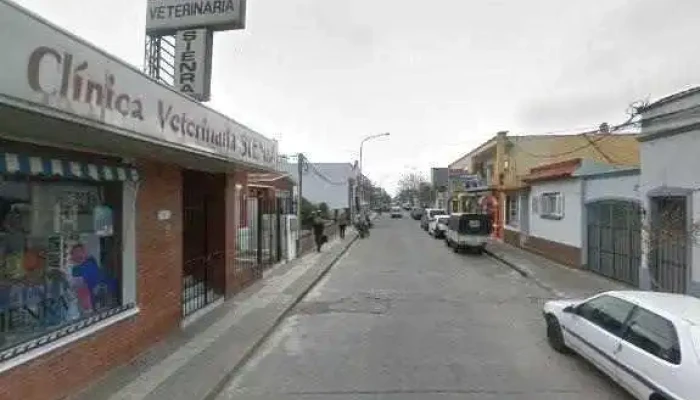 Pizza Show -  Street View Y 360 - Maldonado