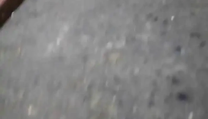 Pizza Subte -  Videos - Montevideo