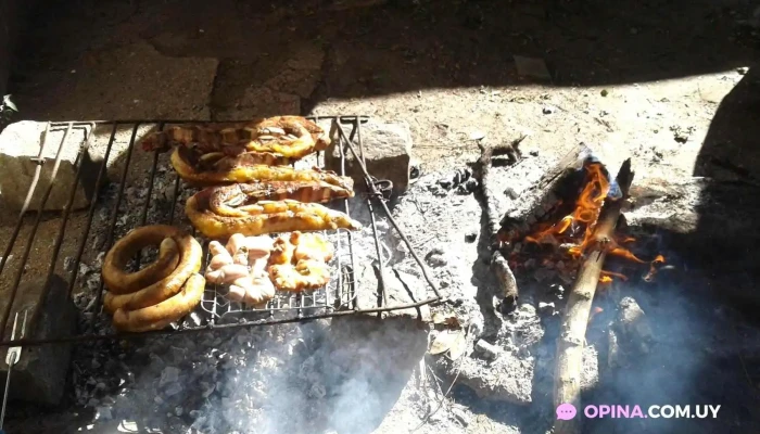 Pizzeria Adian -  Todas - Colonia Nicolich