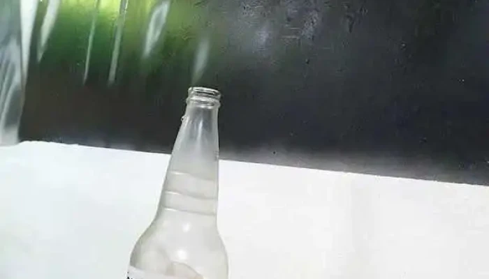 Pizzeria Daniel Comida Y Bebida - Empalme Olmos