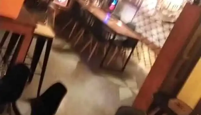 Pizzeria El Tano Videos - Maldonado