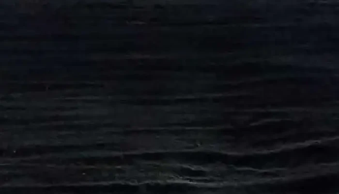 Pizzeria La Piedra Videos - Rio Branco