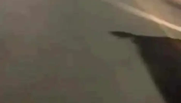 Pizzeria La Posta Videos - Solís de Mataojo