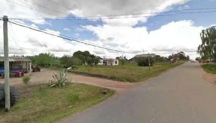 Pizzeria Lo Del Negro -  Todas - Juanicó