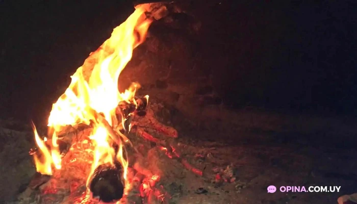 Pizzeria Los Titos -  Videos - San José de Mayo