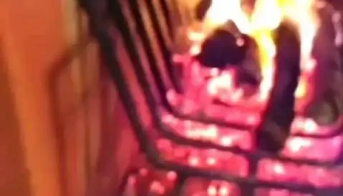 Pizzeria Neco -  Videos - Maldonado