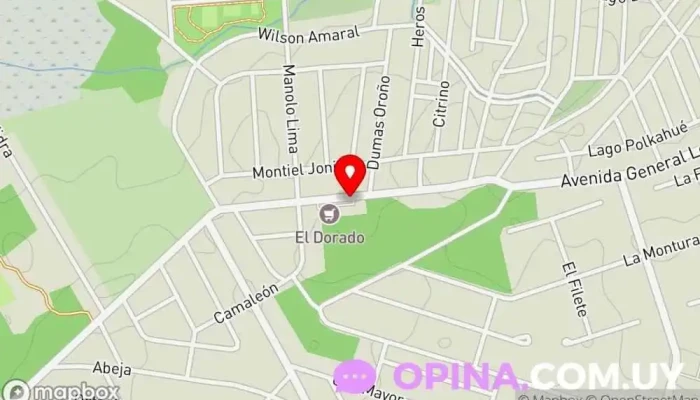 mapa de PIZZURNO NEGOCIOS INMOBILIARIOS Agencia inmobiliaria en Maldonado