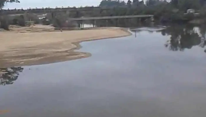 Placita De Villa Sara -  Videos - Villa Sara