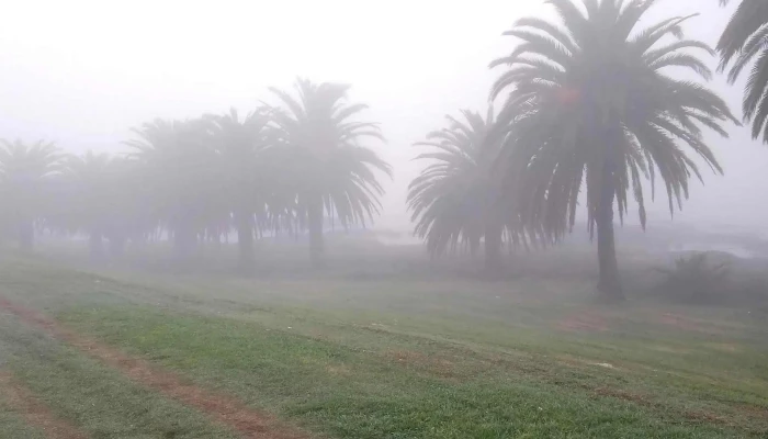 Playa Buceo -  Comentario 5 - Montevideo