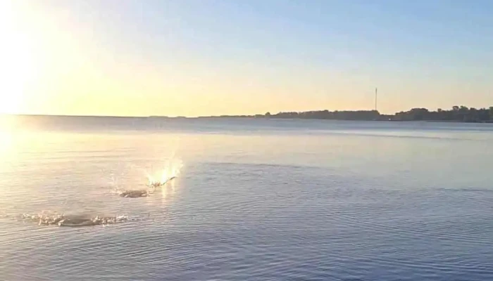 Playa Las Tunas -  Videos - Col. del Sacramento