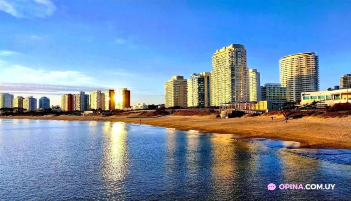 Playa Mansa -  Todo - Punta del Este