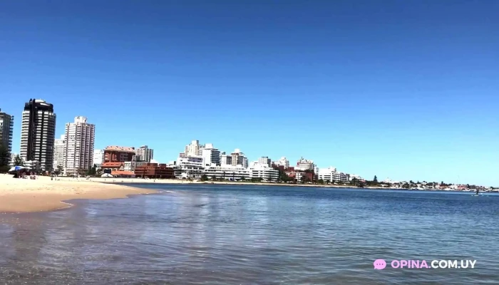 Playa Mansa -  Videos - Punta del Este