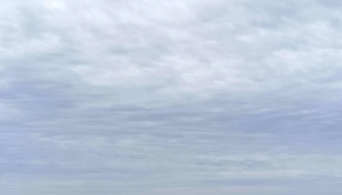 Playa Zabala -  Comentario 7 - Pajas Blancas