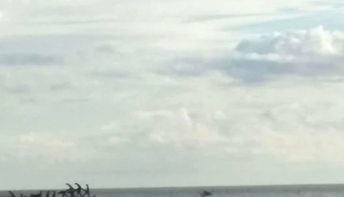 Playa Zabala -  Comentario 9 - Pajas Blancas