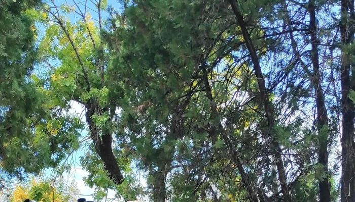 Plaza 4 De Octubre -  Comentario 1 - San José de Mayo