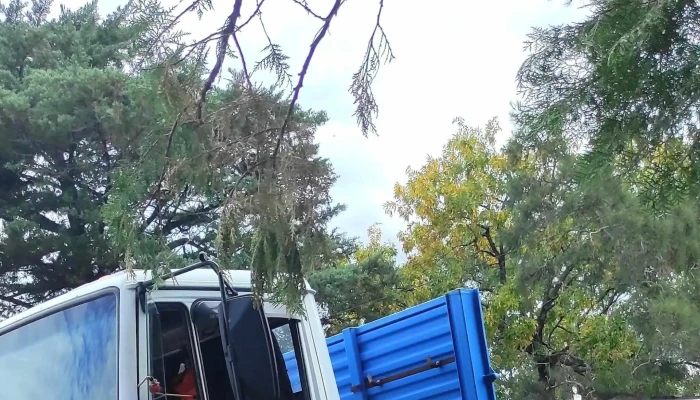 Plaza 4 De Octubre -  Comentario 4 - San José de Mayo