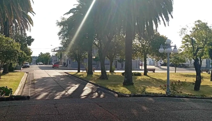 Plaza Artigas -  Cerca De Mi - Young