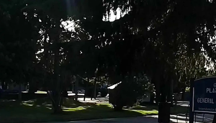 Plaza Artigas Mercedes -  Comentario 10 - Mercedes