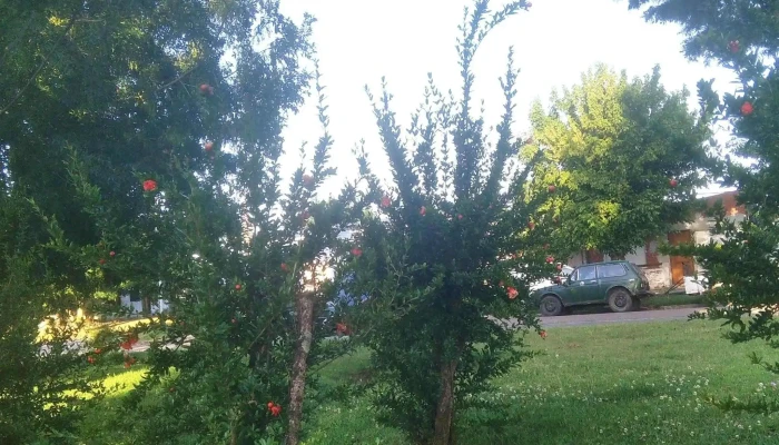 Plaza Barrio Rodriguez Barrios Comentario 2 - San Carlos