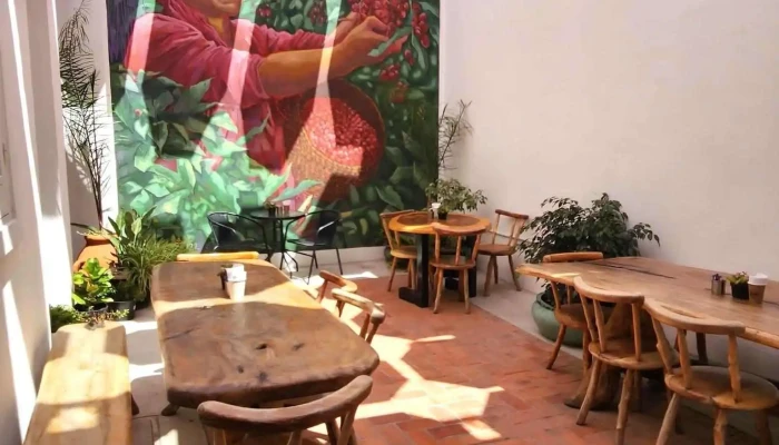 Plaza Cafe Ambiente - Montevideo