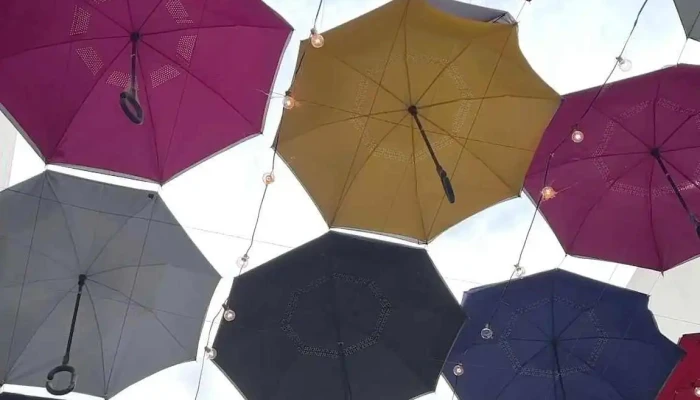 Plaza Cafe Del Propietario - Montevideo