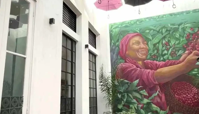 Plaza Cafe Videos - Montevideo