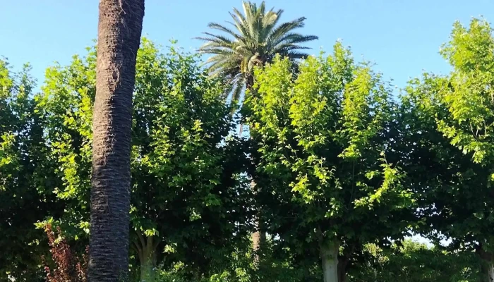 Plaza Constitucion Comentario 10 - Fray Bentos