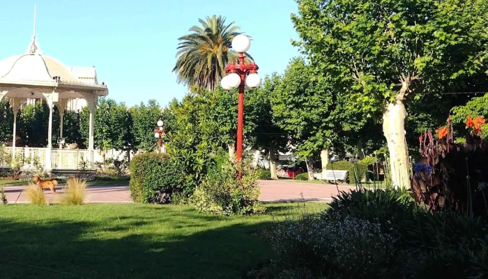 Plaza Constitucion Comentario 11 - Fray Bentos