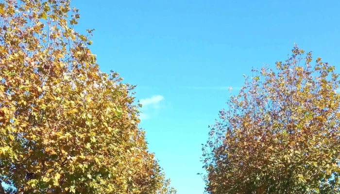 Plaza Constitucion Comentario 2 - Fray Bentos