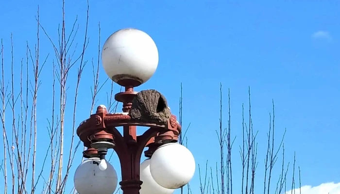 Plaza Constitucion Comentario 5 - Fray Bentos