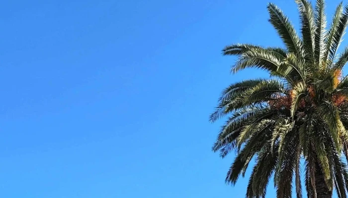 Plaza Constitucion Comentario 6 - Fray Bentos