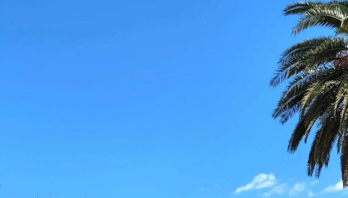 Plaza Constitucion Comentario 7 - Fray Bentos