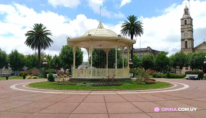 Plaza Constitucion Videos - Fray Bentos