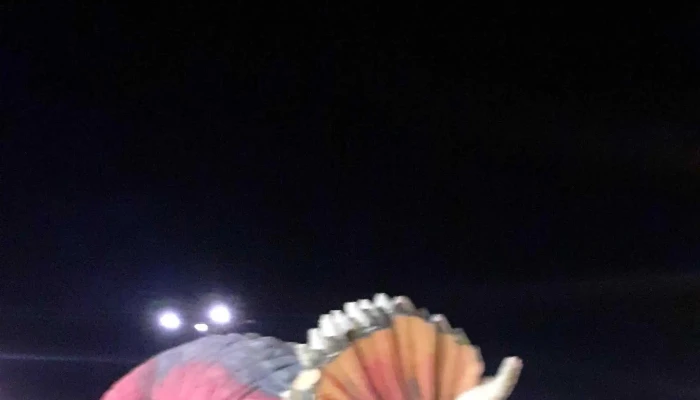 Plaza De Los Ninos Comentario 12 - Artigas