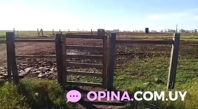 Plaza De Los Vascos -  Videos - Nueva Helvecia