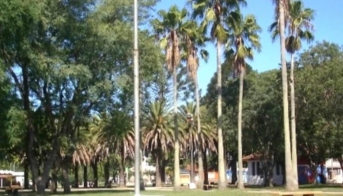 Plaza De Tala -  Comentario 2 - Tala