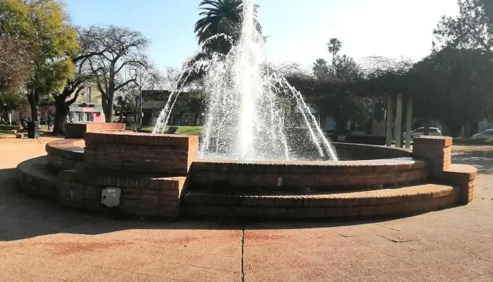 Plaza De Tala -  Todo - Tala