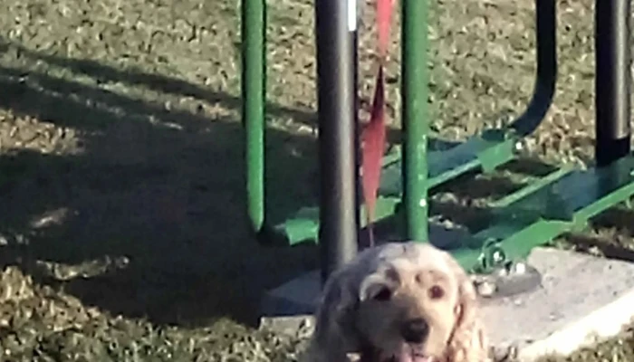 Plaza Diego Pons -  Comentario 1 - Joaquín Suárez