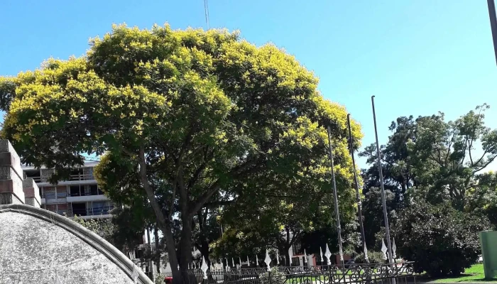 Plaza Independencia -  Comentario 10 - San José de Mayo