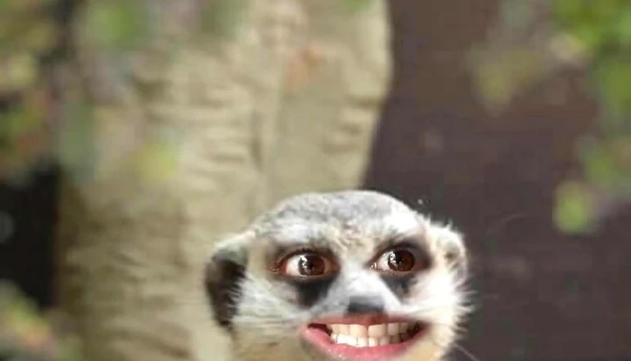 Plaza Nano Perez -  Comentario 4 - Rio Branco